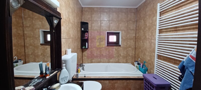 Sabareni, casa 2011, P+M 4 camere + dependinte, curte 500 mp